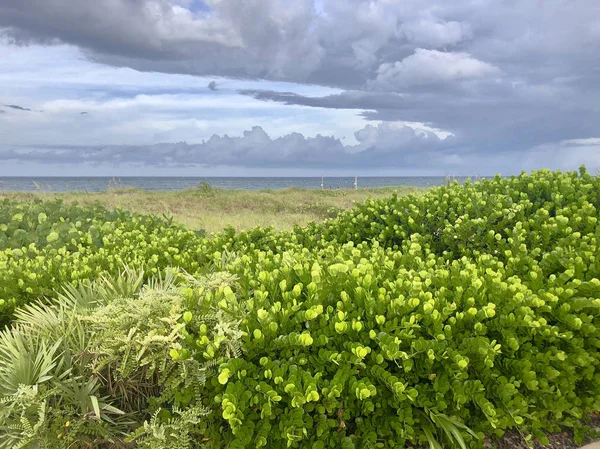 Storm achter de duinen van het strand — Stockfoto