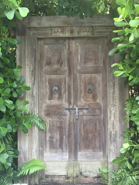 secret garden door in a yard