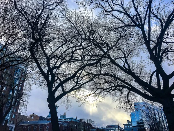 Glasbyggnad Återspeglar Den Blå Himlen Staden — Stockfoto