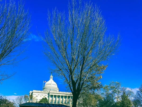 Mavi Gökyüzü Kış Günü Washington — Stok fotoğraf