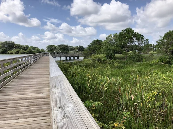 Verhoogde Houten Promenade Het Moeras — Stockfoto