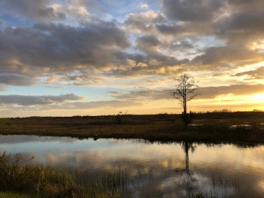Florida bataklıklarında gün batımının yansımaları