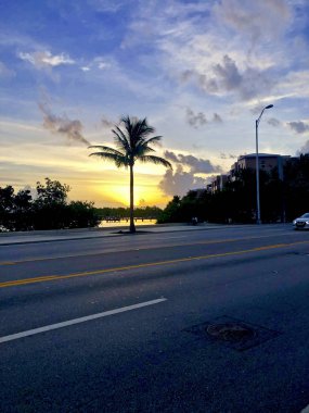Florida keys adayı gündoğumu ve palmiye ağaç
