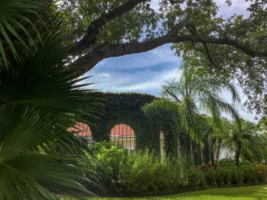 uzun boylu tuğla bina kenarında büyüyen Ivy