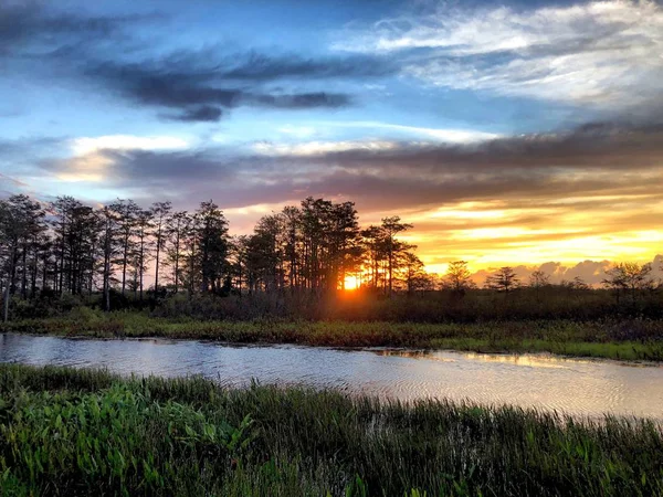 Západ Slunce Everglades Ukazuje Stromy Cypress Koupat — Stock fotografie