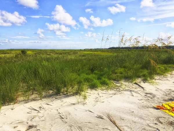 Marsh Gras Geen Naam Island Haven Van Charleston — Stockfoto