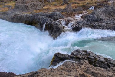 Kır çiçekleri ve şelaleler kuzeydoğu İzlanda '