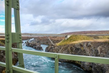 Kır çiçekleri ve şelaleler kuzeydoğu İzlanda '
