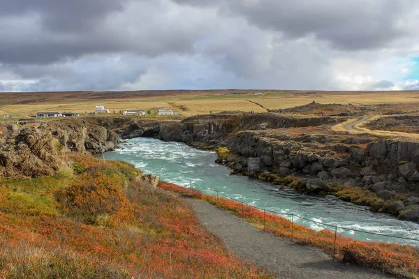 Flores Silvestres Cachoeiras Northeastern Iceland — Fotografia de Stock