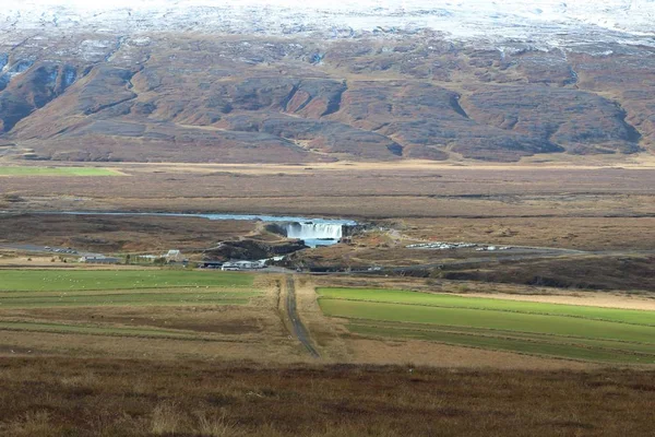 Wildblumen Und Wasserfälle Nordosten Islands — Stockfoto