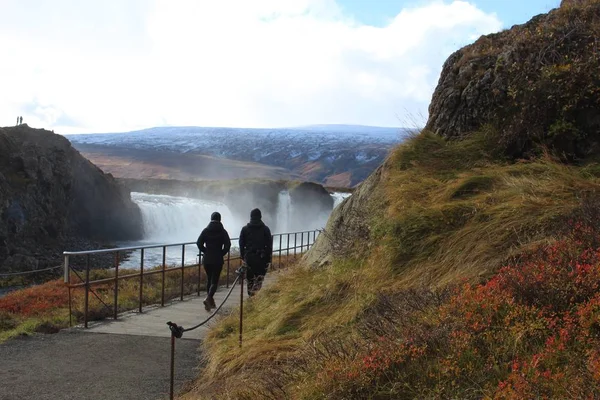 Wildflowers Waterfalls Northeastern Iceland — Stock Photo, Image