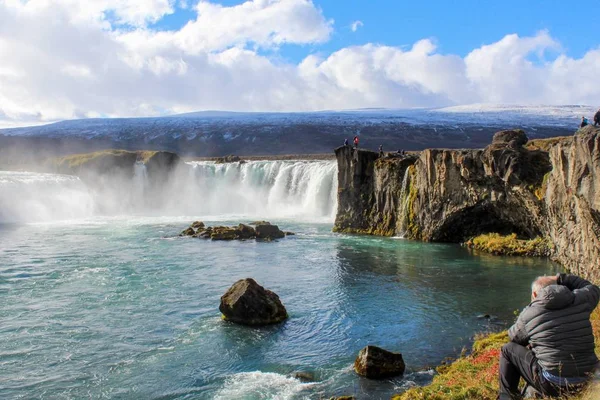 Fiori Campo Cascate Nel Nord Est Dell Islanda — Foto Stock