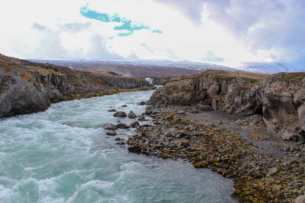 Fleurs Sauvages Cascades Dans Nord Est Islande — Photo