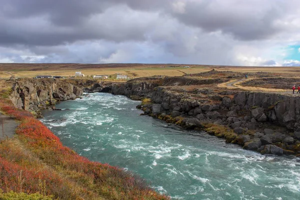 Αγριολούλουδα Και Καταρράκτες Στην Βορειοανατολική Ισλανδία — Φωτογραφία Αρχείου
