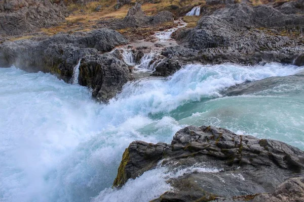 Wildblumen Und Wasserfälle Nordosten Islands — Stockfoto