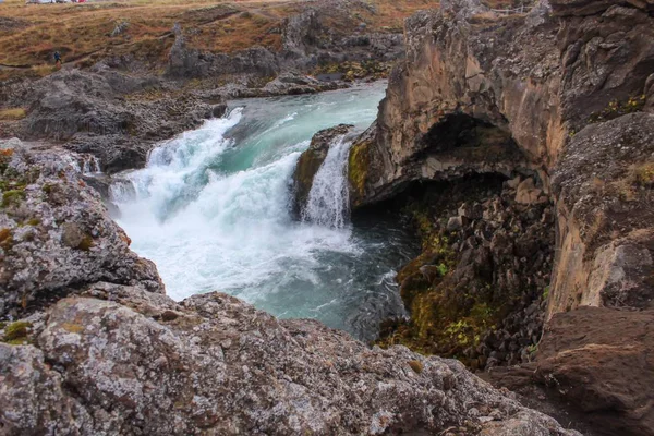 Fleurs Sauvages Cascades Dans Nord Est Islande — Photo