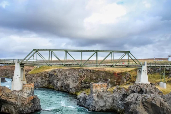 Polne Kwiaty Wodospady Północno Wschodniej Islandii — Zdjęcie stockowe