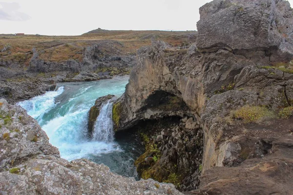 野の花と北東アイスランドの滝 — ストック写真