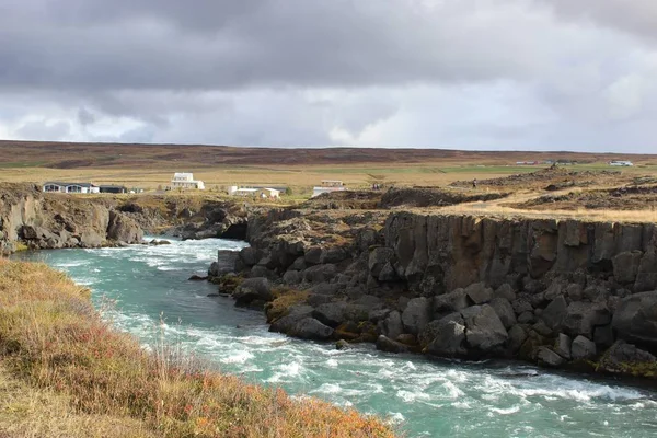 Wildblumen Und Wasserfälle Nordosten Islands — Stockfoto