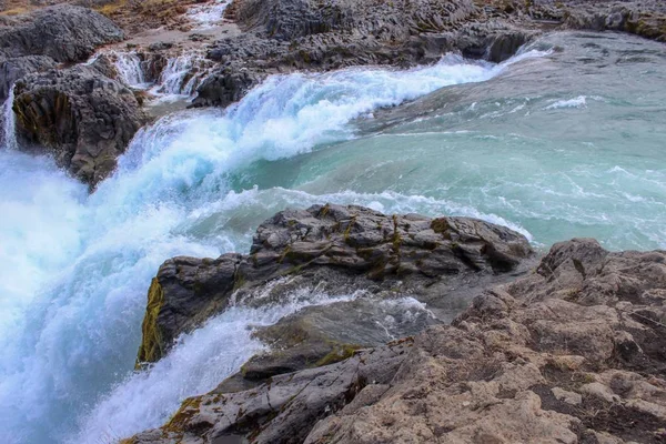 Fiori Campo Cascate Nel Nord Est Dell Islanda — Foto Stock