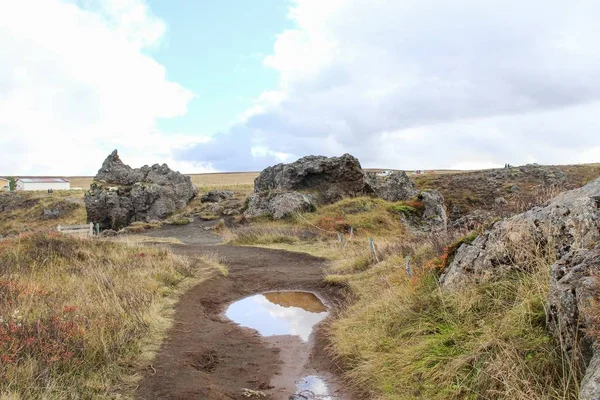 Wildblumen Und Wasserfälle Nordosten Islands — Stockfoto