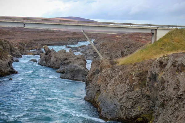 Flores Silvestres Cachoeiras Northeastern Iceland — Fotografia de Stock