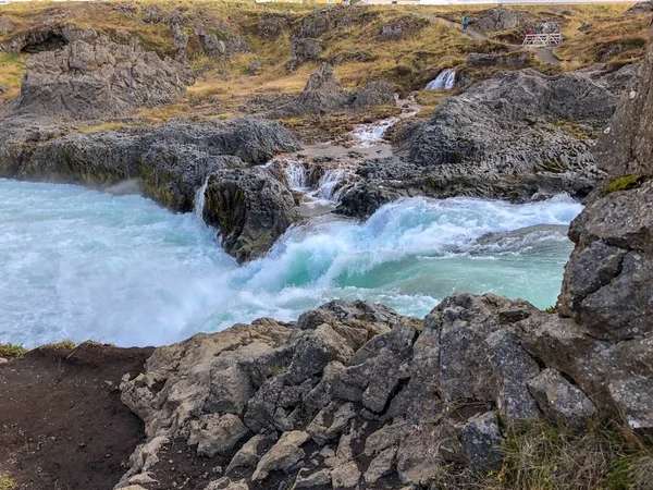 Flores Silvestres Cachoeiras Northeastern Iceland — Fotografia de Stock