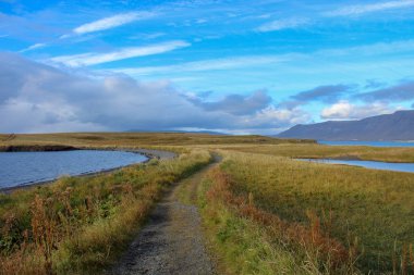 İzlanda'daki adada dar yol