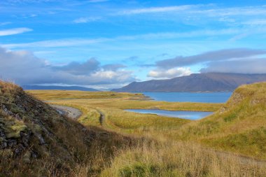 İzlanda'daki adada dar yol