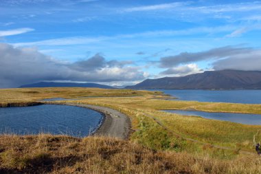 İzlanda'daki adada dar yol