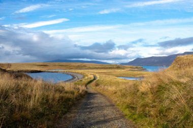İzlanda'daki adada dar yol