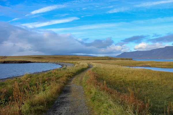 Sentier Étroit Sur Île Islande — Photo