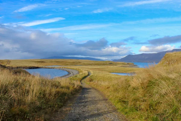 Caminho Estreito Ilha Islândia — Fotografia de Stock
