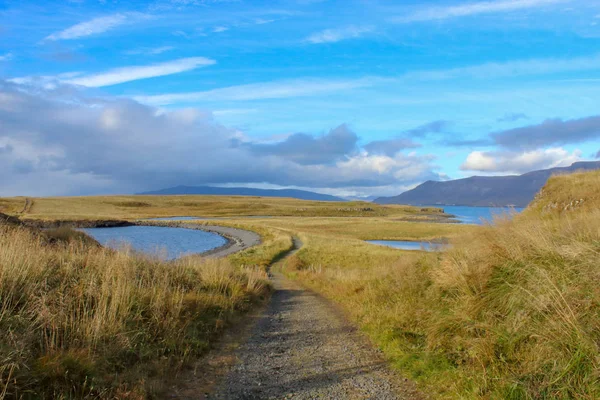 Sentier Étroit Sur Île Islande — Photo