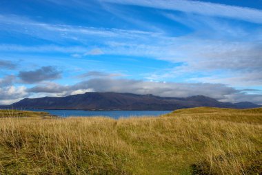 İzlanda'daki adada dar yol