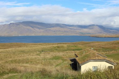 Izlanda 'da Videy Adası 'nda yosun kaplı ev