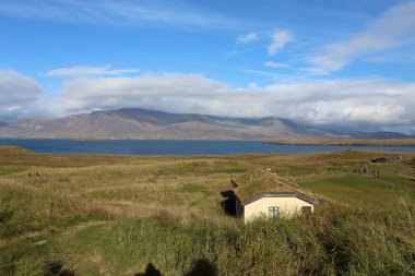 Izlanda 'da Videy Adası 'nda yosun kaplı ev
