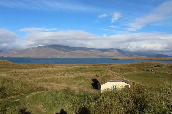 Izlanda 'da Videy Adası 'nda yosun kaplı ev