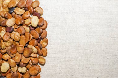 Fasulye tohumu tohumları ile arka plan arasında net bir sınır ile hafif bir keten kumaş üzerine yerleştirilir. Arka plan. Yer metin çizme.