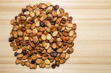 Meyve çekirdekleri kül belirgin bir doku ile ahşap bir masa hafif bir arka plan üzerinde bir daire şeklinde yerleştirilir. Arka plan. Yer metin çizme