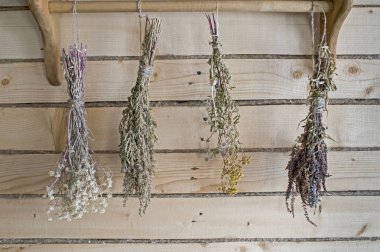 Şifalı bitkiler kurulları duvarında asılı demetleri kuru. Arka plan bulanık,.