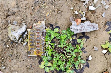 Bir yığın elektrik devre panosunu Yeşil yonca Rusya, Zheleznogorsk Ocak 2018 yanında yatıyor.