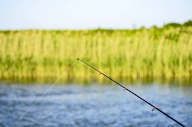 Misina çalılıkları, karşı kıyıda güneş tarafından aydınlatılmış arka plan üzerinde su arka plan üzerinde iplik demiriyle sonu. Minimalizm kavramı.