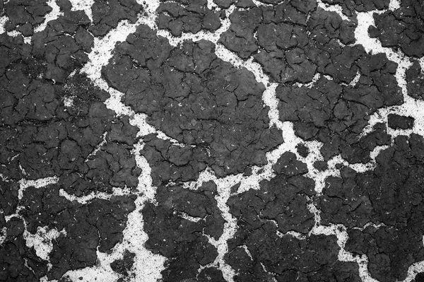 The texture of the bottom of the reservoir sand and the accumulation of silt on top. Background. Black and white image — Stock Photo, Image