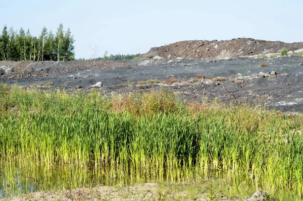 Manzara madencilik faaliyetleri sonra çöl. Overburden dökümü çukur nedeniyle ormanları imha.