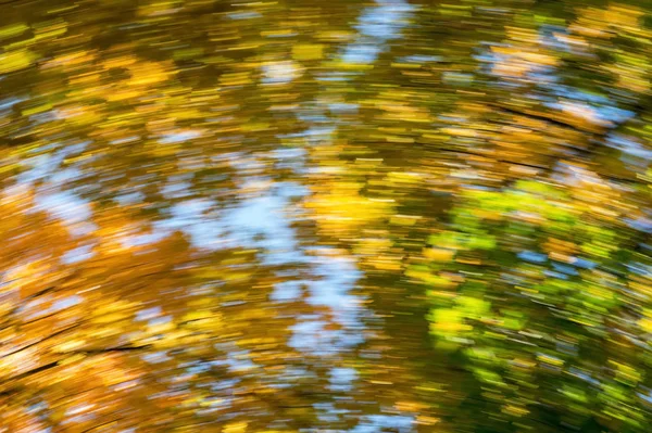 Ağaçların Hareket Halindeki Sonbahar Yapraklarının Bulanık Arkaplanı Sonbaharda Doğada Dönüşüm — Stok fotoğraf