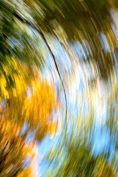 Fond Abstrait Flou Des Feuilles Automne Sur Les Arbres Mouvement — Photo