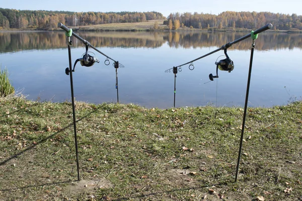 Two carp rods are installed on stands on the shore against the flat surface of the lake. Background.