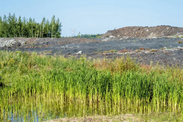 Manzara madencilik faaliyetleri sonra çöl. Overburden dökümü çukur nedeniyle ormanları imha.