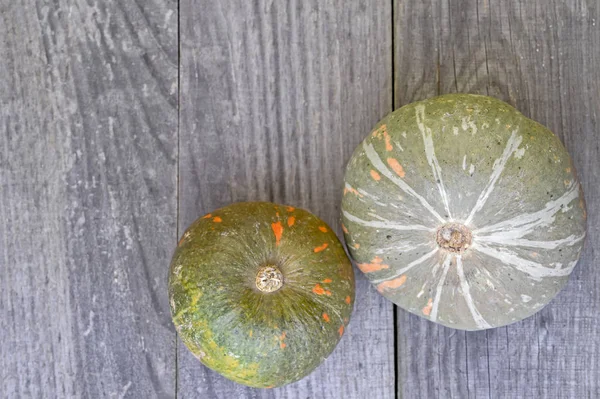 Duas abóboras verde-laranja em um fundo cinza vintage de madeira — Fotografia de Stock